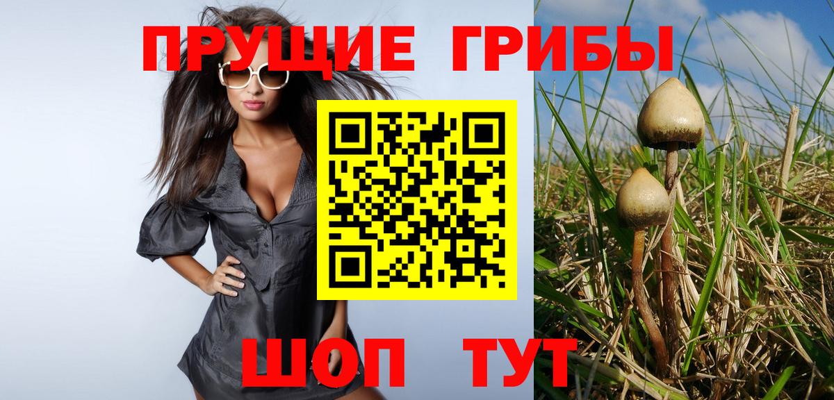 Галлюциногенные грибы GOLDEN TEACHER  Вход с VPN  Луховицы 